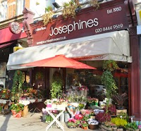 Josephines Flowers 1102757 Image 0